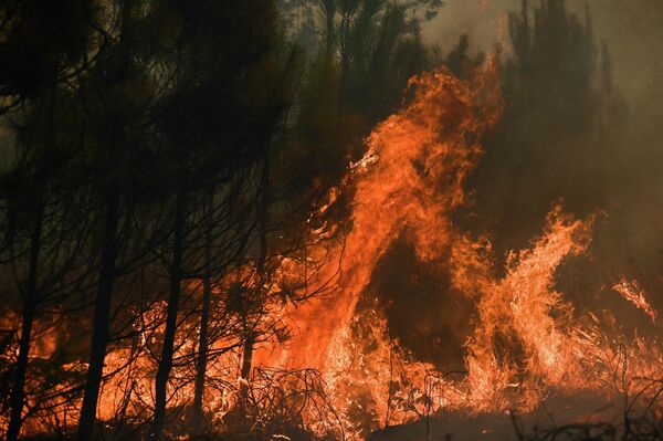 Пламя лесного пожара недалеко от Луша, в департаменте Жиронда, Франция. - Sputnik Беларусь