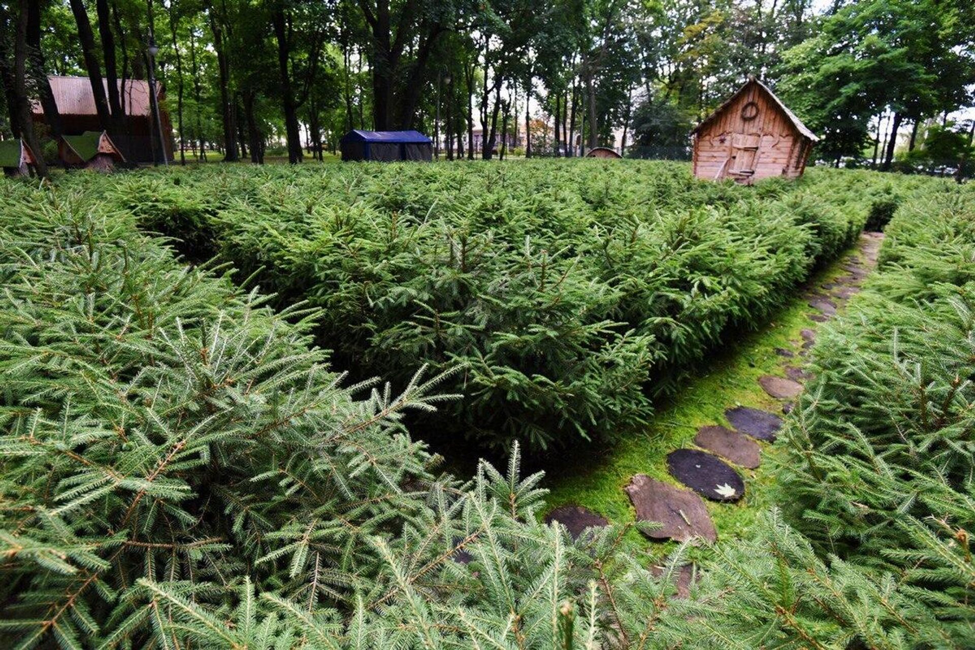 На создание лабиринта понадобилось больше тысячи деревьев  - Sputnik Беларусь, 1920, 20.07.2022