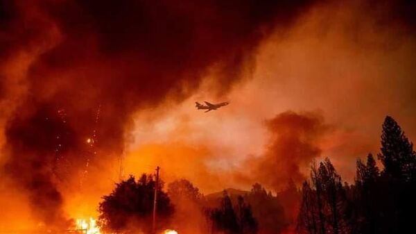 Огненный апокалипсис: лесные пожары в Калифорнии – видео - Sputnik Беларусь