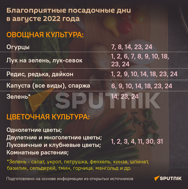 Лунный календарь на август 2022 - Sputnik Беларусь