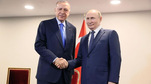Президент РФ Владимир Путин и президент Турции Реджеп Тайип Эрдоган - Sputnik Беларусь