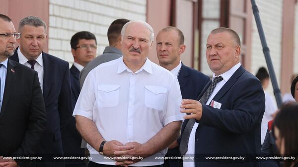 Лукашенко не хочет, чтобы аграрии заболтали озимый ячмень – видео - Sputnik Беларусь