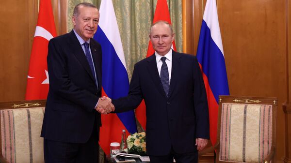 Владимир Путин и Реджеп Тайип Эрдоган на встрече в Сочи - Sputnik Беларусь