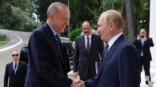 Президент РФ Владимир Путин и президент Турции Тайип Эрдоган - Sputnik Беларусь