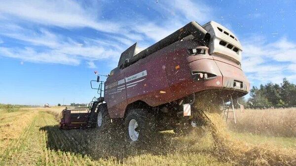 На уборке урожая, архивное фото - Sputnik Беларусь