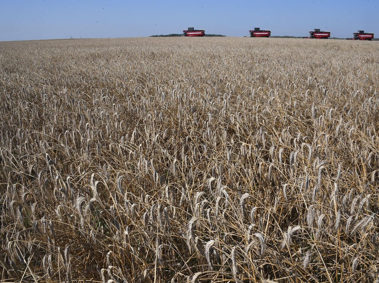 Битва за неурожай: как западные санкции ставят мир на грань голода -  09.09.2022, Sputnik Беларусь