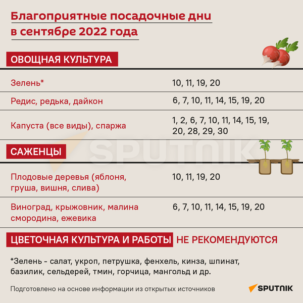 Лунный календарь на сентябрь 2022 - Sputnik Беларусь
