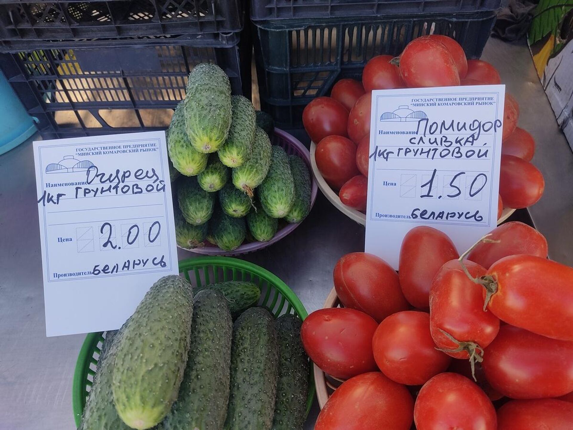 В течении августа помидоры подешевели на 50. Самые дешевые овощи. Подешевели помидоры. Цены в Белоруссии.