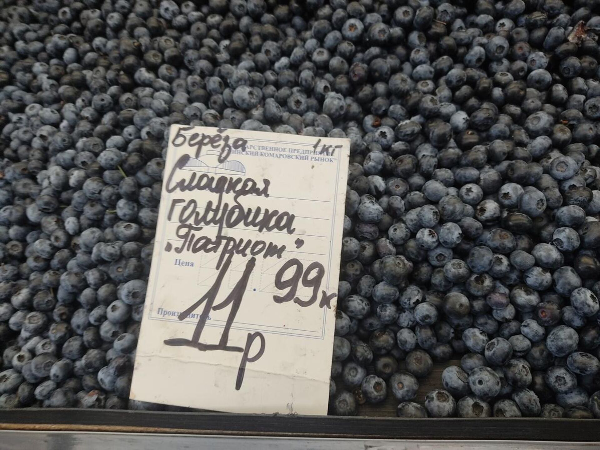 Голубики по-прежнему много - Sputnik Беларусь, 1920, 02.09.2022