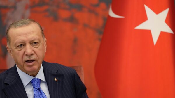 Президент Турции Реджеп Эрдоган - Sputnik Беларусь