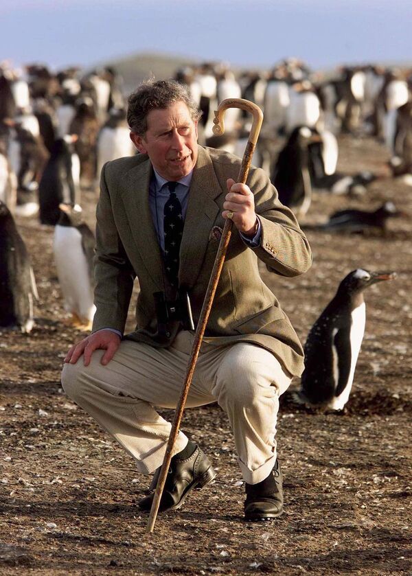 Принц Чарльз на острове Морской лев у побережья Фолклендских островов 14 марта 1999 года. - Sputnik Беларусь