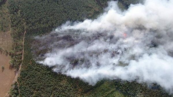 Лесной пожар с высоты птичьего полета - Sputnik Беларусь