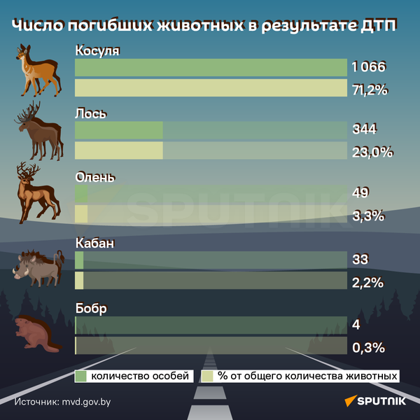 ДТП с дикими животными: как их избежать? - Sputnik Беларусь