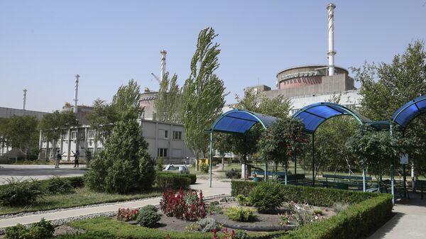 Территория Запорожской АЭС в Энергодаре - Sputnik Беларусь
