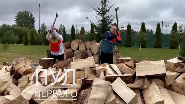 Лукашенко показал Тетерину, как рубить дрова - Sputnik Беларусь