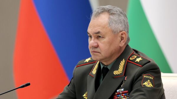 Выступление министра обороны РФ Сергея Шойгу - видео - Sputnik Беларусь