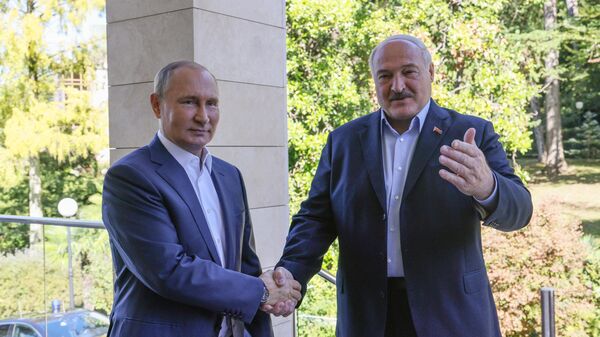 Президент РФ В. Путин встретился с президентом Беларуси А. Лукашенко - Sputnik Беларусь