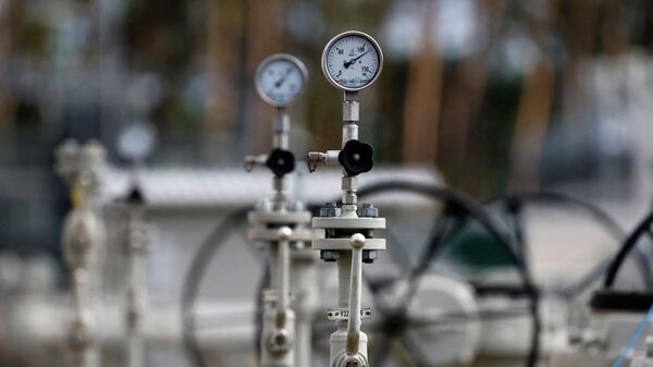 Манометры и устройства для приема и распределения природного газа из газопровода Северный поток — 1  - Sputnik Беларусь