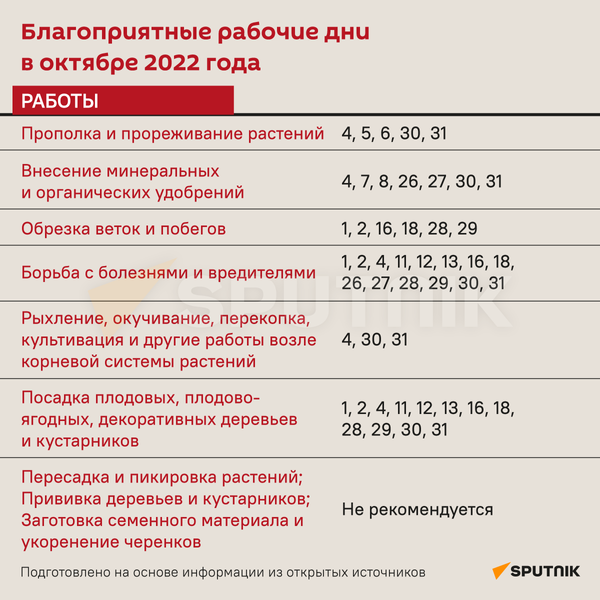 Лунный календарь на октябрь 2022 – инфографика - Sputnik Беларусь