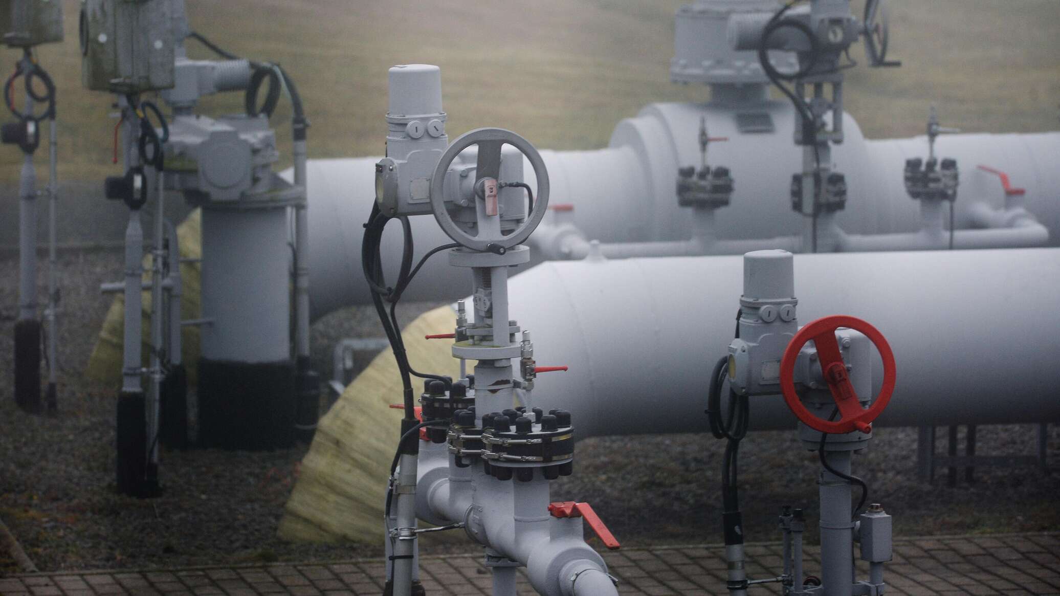 Кречмер: Германия заинтересована возобновить поставки российского газа