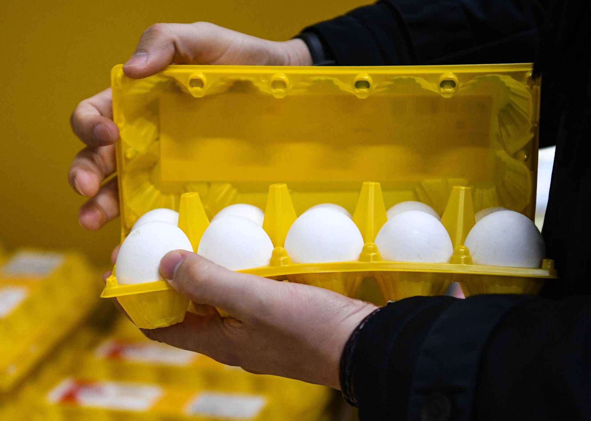 Упаковка яиц в руке покупателя в магазине - Sputnik Беларусь, 1920, 19.05.2023