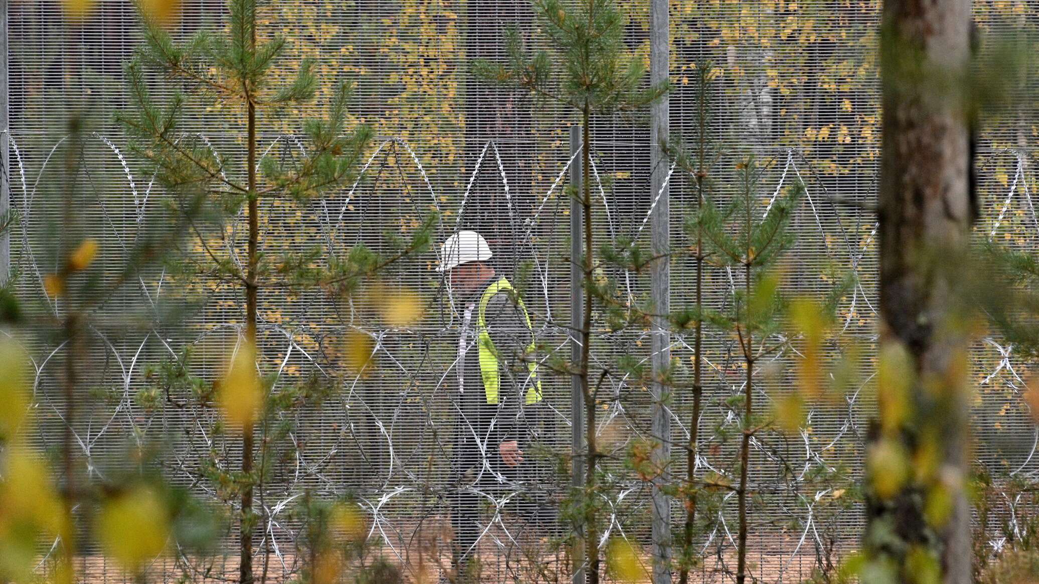 Как стройка забора между Латвией и Беларусью меняет жизнь приграничья ...