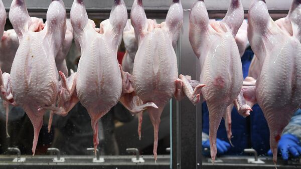 Производство мяса птицы, архивное фото - Sputnik Беларусь