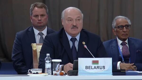 Лукашенко на саммите в Астане: о мятеже в Беларуси и ядерном оружии ― видео - Sputnik Беларусь