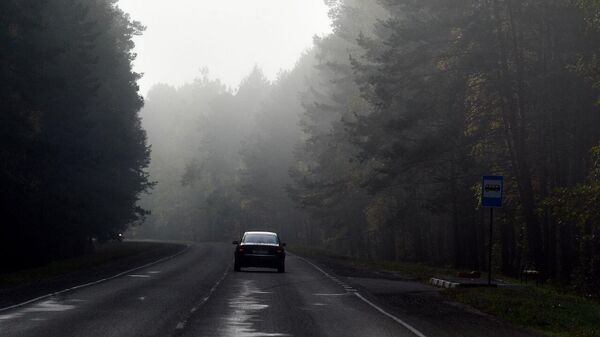 Туман в октябре на дороге в Беларуси - Sputnik Беларусь