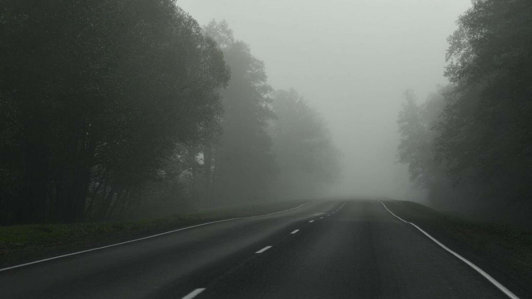 Туманы ожидаются в Беларуси 8 октября - 07.11.2023, Sputnik Беларусь