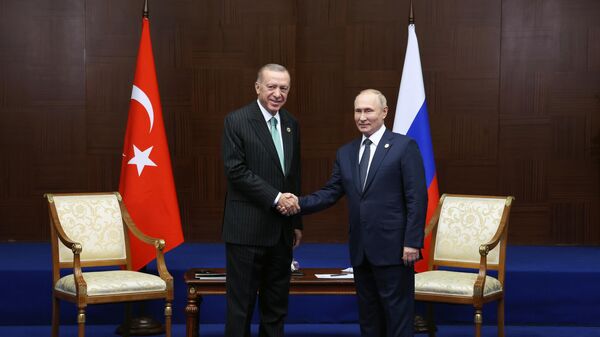 Президент РФ В. Путин встретился с президентом Турции Р. Т. Эрдоганом - Sputnik Беларусь