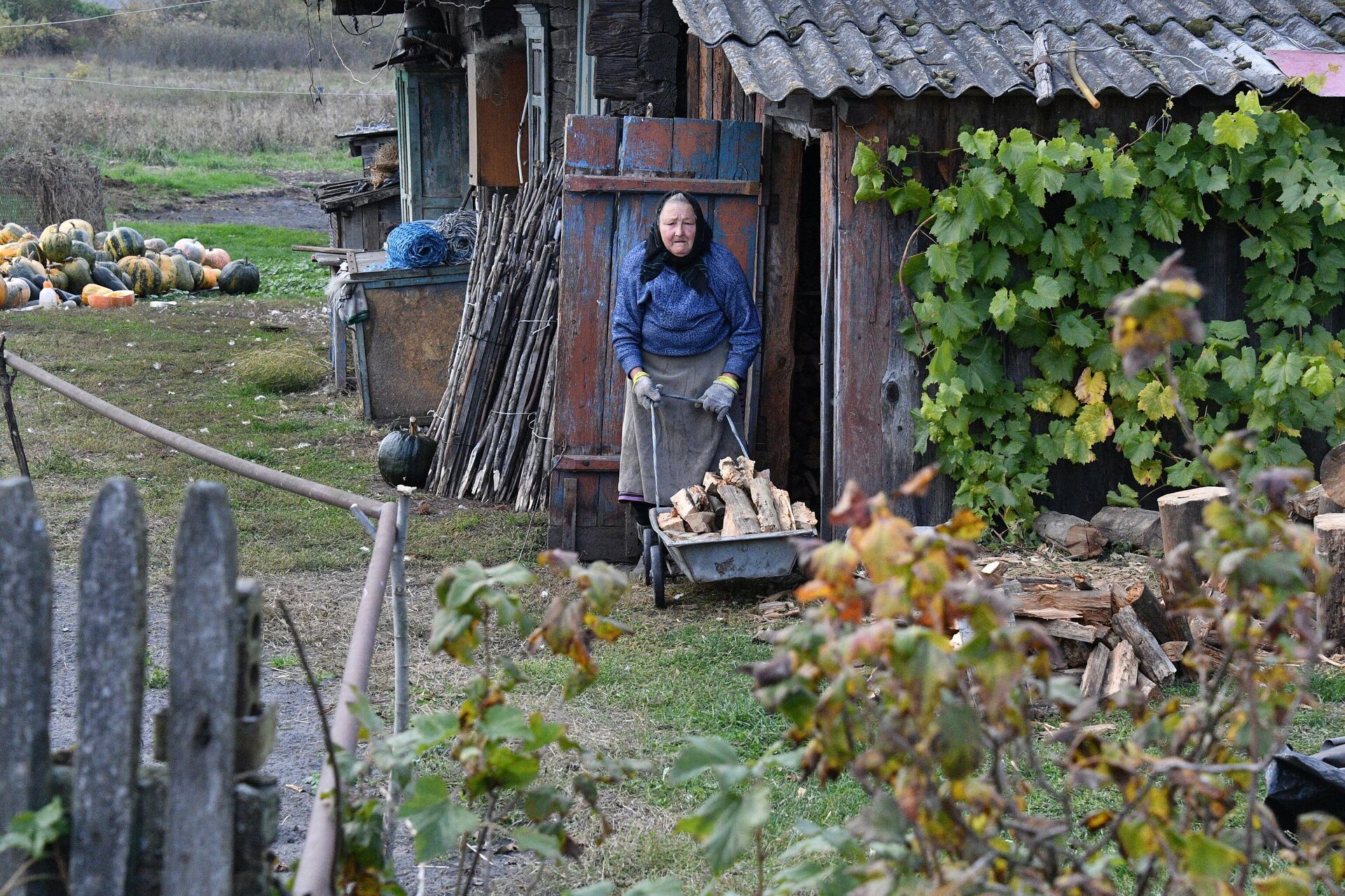 Жительница деревни Паре в Пинском районе - Sputnik Беларусь, 1920, 19.10.2022