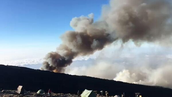 Сильный лесной пожар вспыхнул на склонах горы Килиманджаро - Sputnik Беларусь