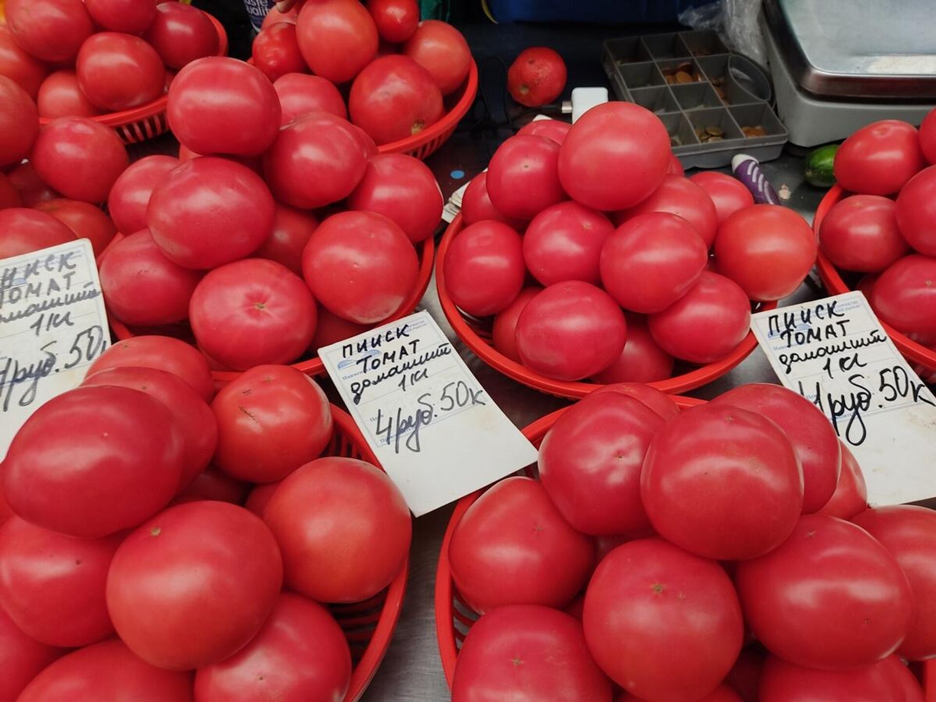 Цена на помидоры за неделю не изменилась - Sputnik Беларусь, 1920, 28.10.2022