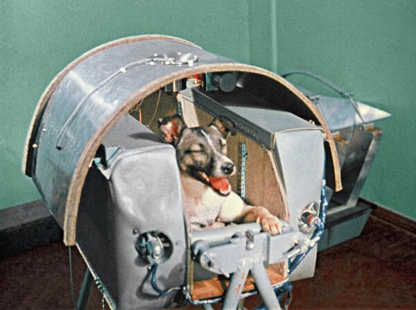 То, что собака обречена, специалистам было известно заранее. На тот момент попросту не существовало такой системы, которая бы возвращала корабли из космоса на Землю. - Sputnik Беларусь