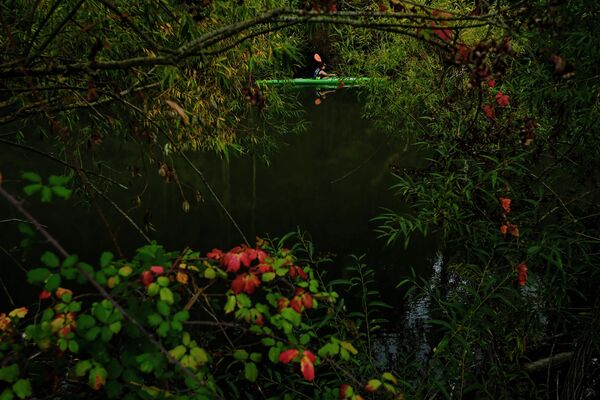 Гребец на реке Арга осенним вечером в Памплоне, северная Испания. - Sputnik Беларусь