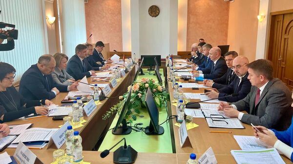 Заседание Рабочей группы по сотрудничеству Республики Беларусь и Челябинской области РФ - Sputnik Беларусь