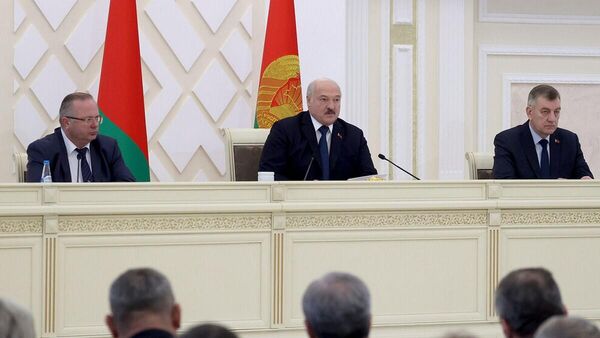 Президент Беларуси Александр Лукашенко проводит совещание по развитию агропромышленного комплекса Гомельской области  - Sputnik Беларусь