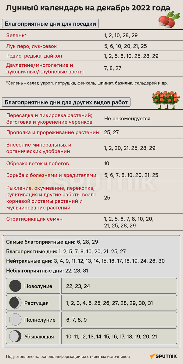 Лунный календарь на декабрь 2022 года - Sputnik Беларусь