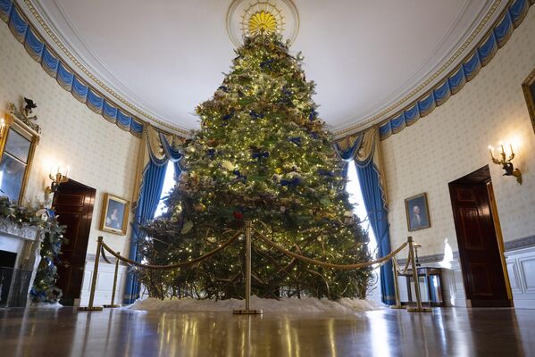 Главная рождественская елка - в Голубой комнате Белого дома. - Sputnik Беларусь