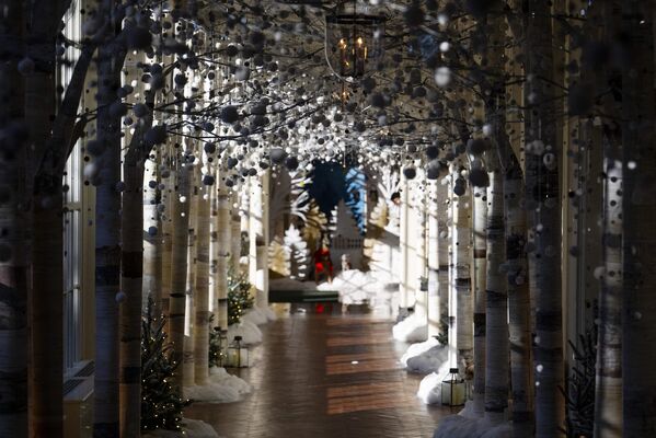 Зимние деревья и светящиеся фонари тянутся вниз по Восточной колоннаде. - Sputnik Беларусь