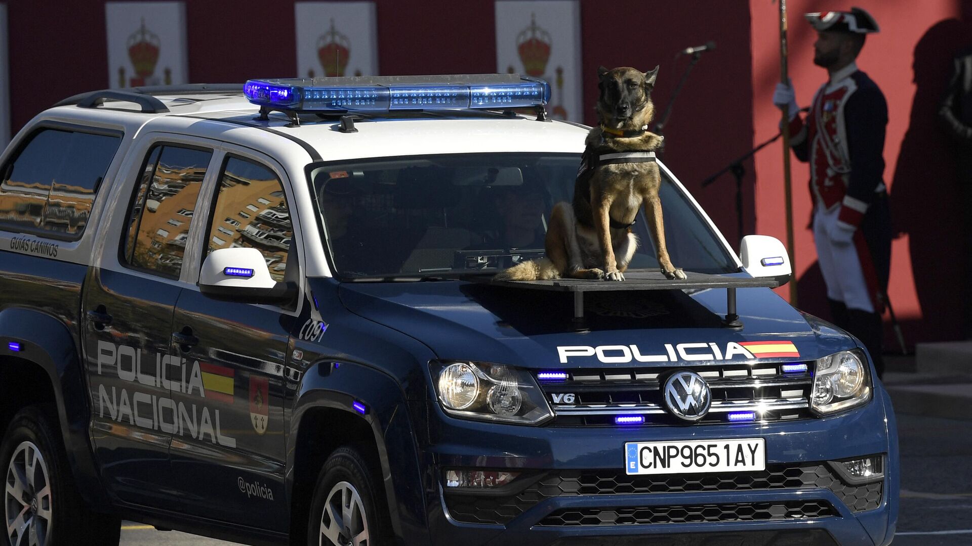 Собака Национальной полиции Испании на капоте автомобиля - Sputnik Беларусь, 1920, 30.11.2022