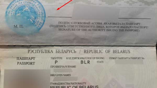 Паспорт с размытой печатью - Sputnik Беларусь