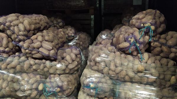 Мешки с картофелем, архивное фото - Sputnik Беларусь