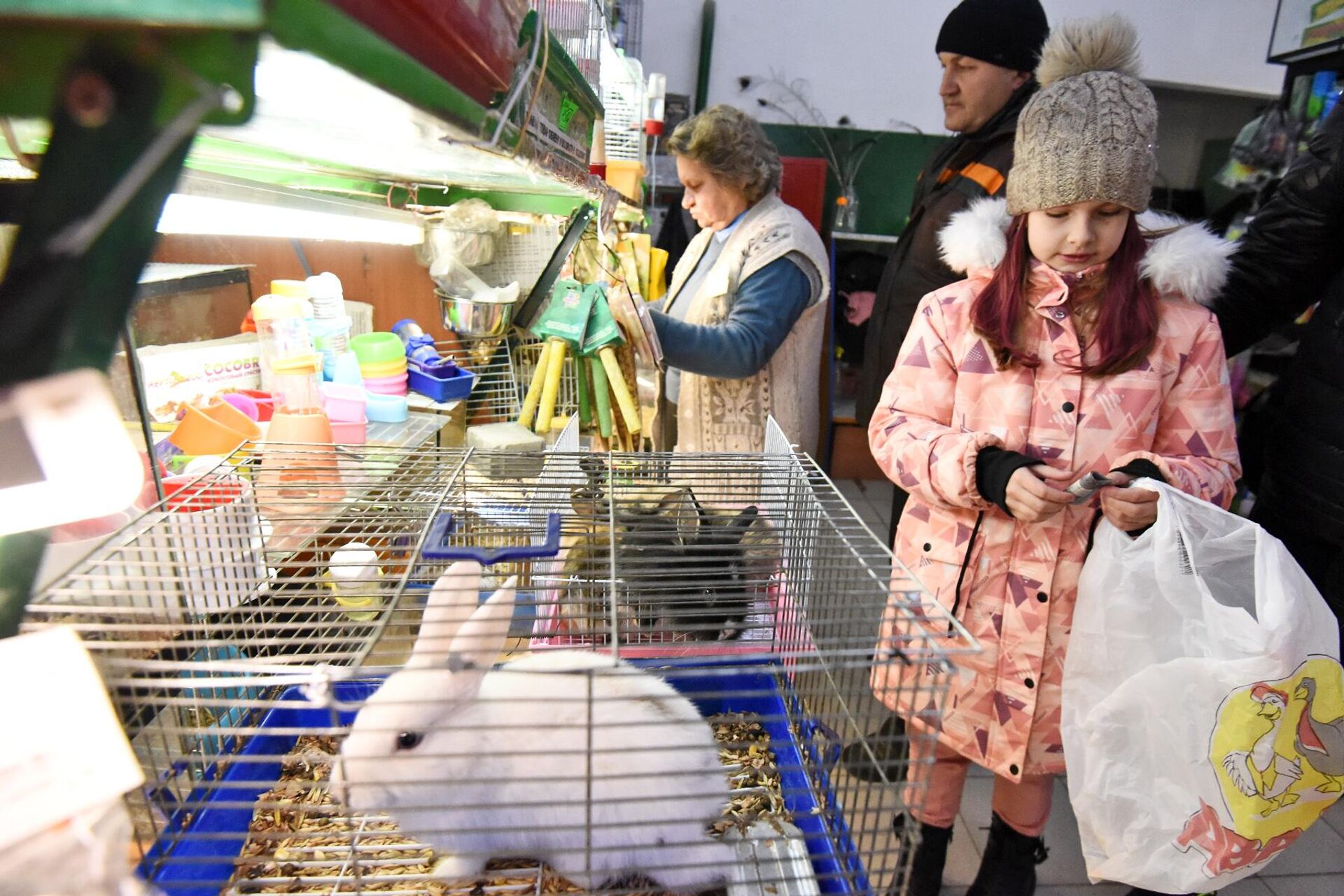 Покупатели выбирают кроликов в зоомагазине - Sputnik Беларусь, 1920, 05.12.2022