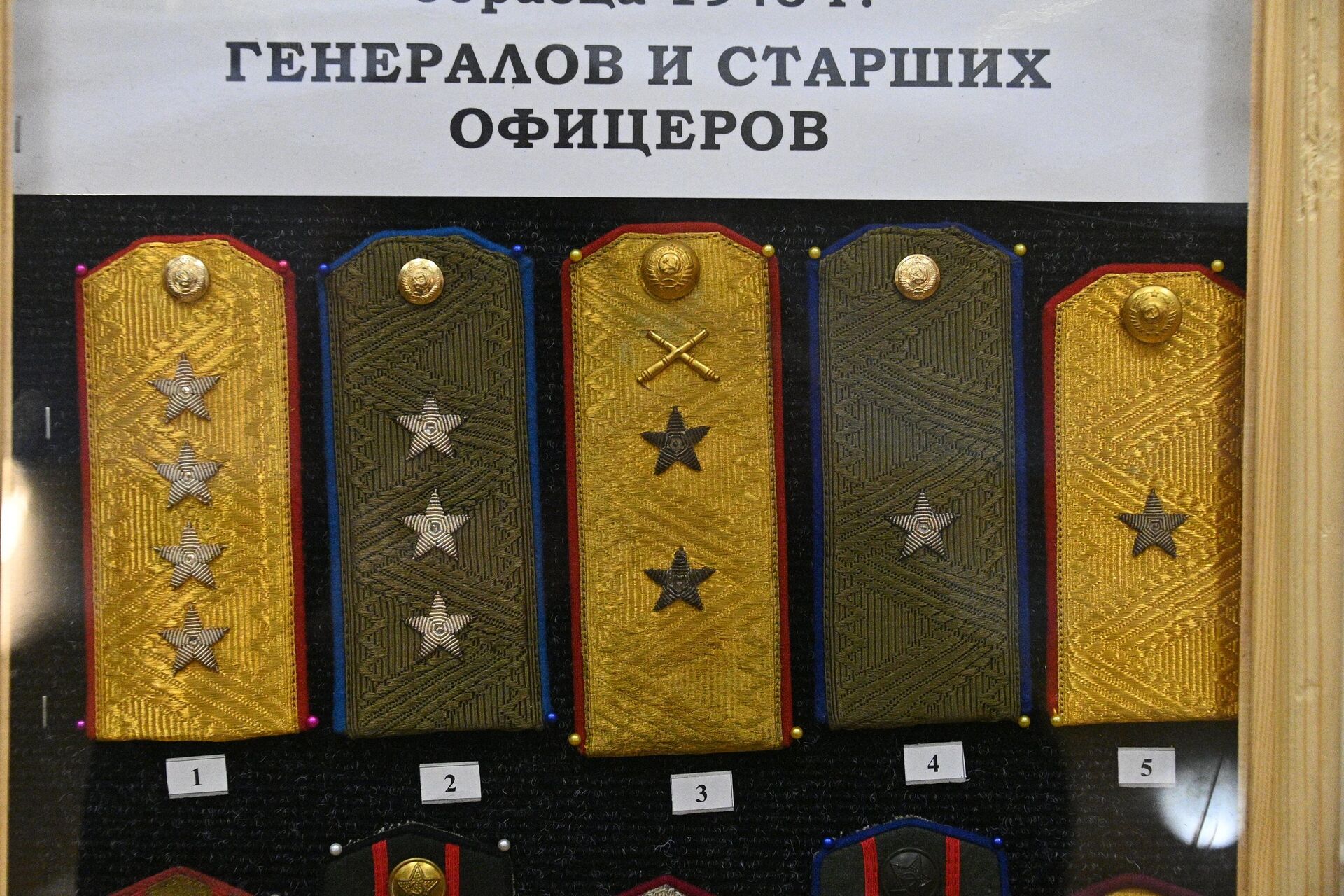 Погоны на выставке - Sputnik Беларусь, 1920, 07.12.2022