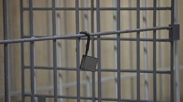 Клетка для обвиняемых в зале судебных заседаний - Sputnik Беларусь
