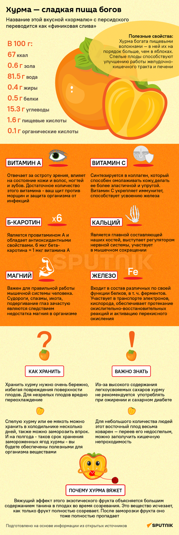 Много пользы, но есть и вред: что важно знать о хурме - Sputnik Беларусь