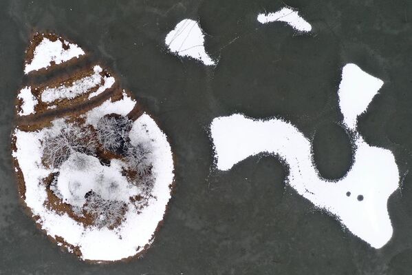 Вид замерзшего озера в Ричмонд-парке на юго-западе Лондона, Великобритания - Sputnik Беларусь