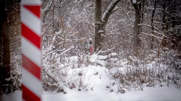 Туск: "Восточный щит" обойдется в 10 млрд евро